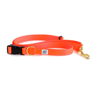 Dog+Bone Adjustable Leash 3-6ft, Hand Held/ Hands Free, Lava Orange