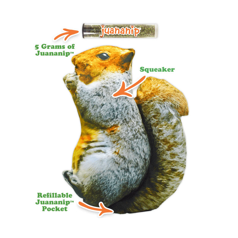 Doggijuana Refillable Squirrel Squeaky Toy with Juananip  Furly's Pet  Supply