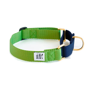 Dog+Bone Martingale Collar Greenery (Lime) & Navy Blue