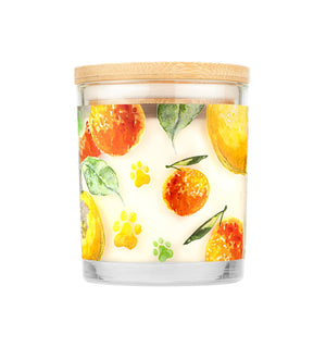 One Fur All Pet House Candle Fresh Citrus