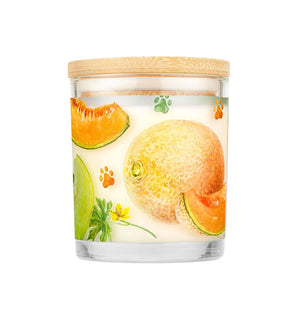 One Fur All Pet House Candle Juicy Melon