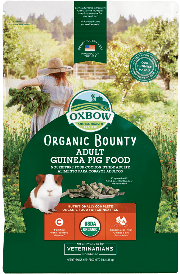 Oxbow Organic Bounty Adult Guinea Pig 3lb Furly s Pet Supply
