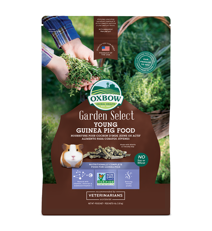 Oxbow Garden Select Young Guinea Pig Food 4lb Furly s Pet Supply