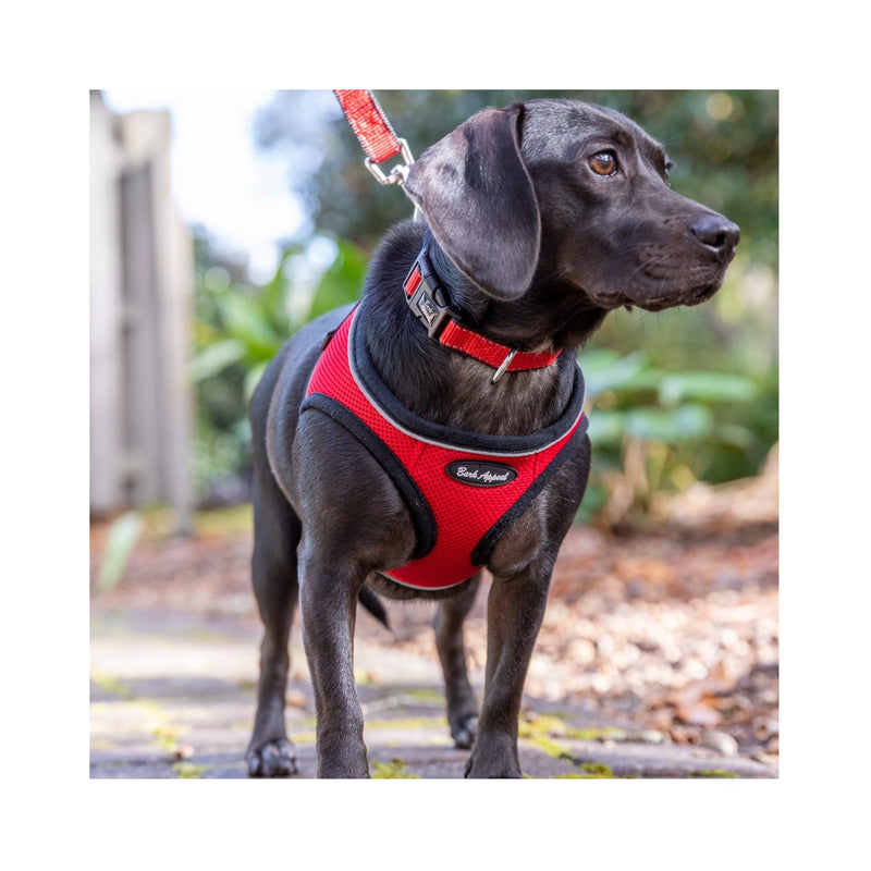 Bark Appeal Step-In Mesh Harness Blue – Furly's Pet Supply