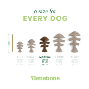 Benebone Jack Salmon Fishbone Chew