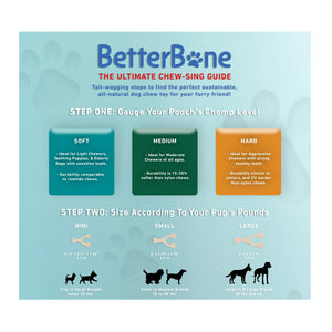 BetterBone Hard Density Classic Hypoallergenic Dog Chew Toy