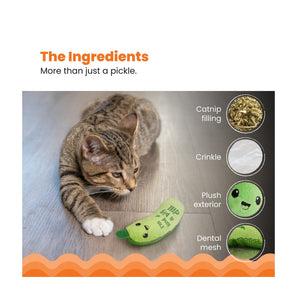 Outward Hound Catstages Crunchy Pickle Kicker
