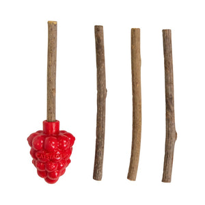 CatsStages Raspberry Silvervine Teether Cat Toy