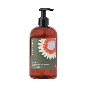 Dandylion Soothe Gentle Cleansing Dog Shampoo 16oz