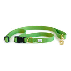 Dog+Bone Adjustable Leash 3-6ft, Hand Held/ Hands Free, Greenery (Lime Green)