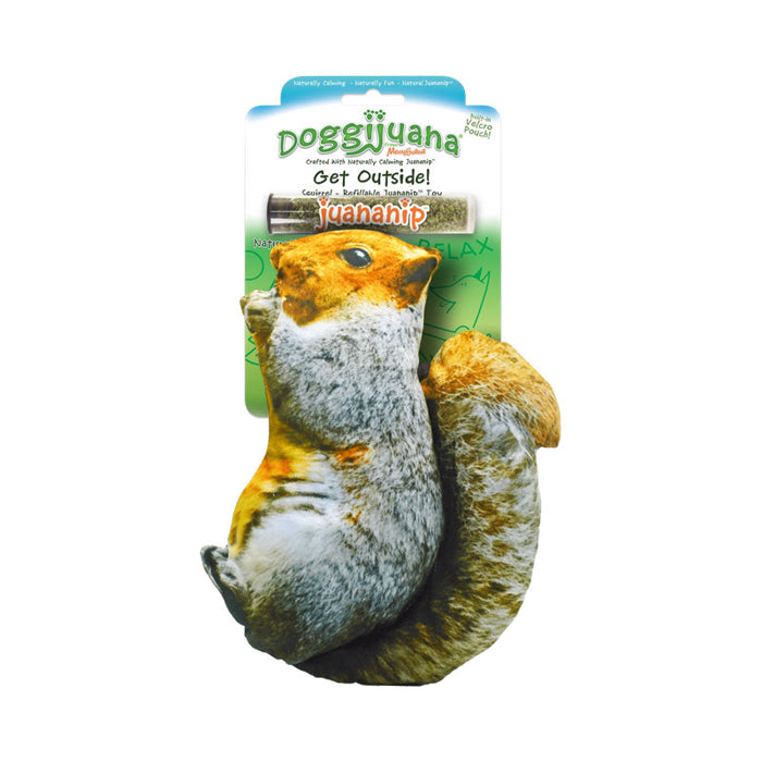 Doggijuana Refillable Squirrel Squeaky Toy with Juananip Furly's Pet Supply Doggijuana Refillable Squirrel Squeaky Toy with Juananip Furly's Pet Supply