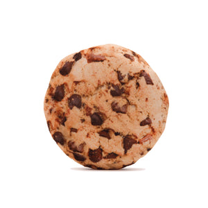 FabDog Pups Ahoy Chocolate Chip Cookie Toy