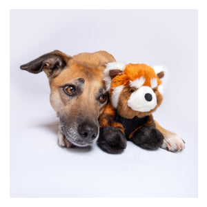 Fluff & Tuff Archie Red Panda