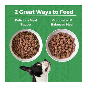 KOHA Limited Ingredient Turkey Stew Canned Dog Food