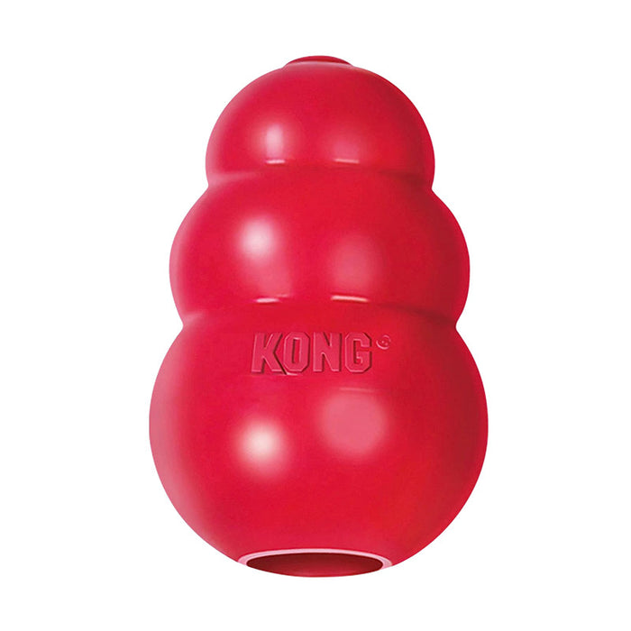 Kong Wobbler Interactive Treat Dispensing Toy – Furly's Pet Supply