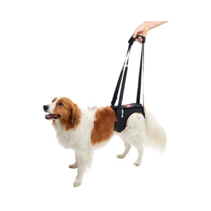 Kruuse Rehab Lifting Harness for Hind Legs