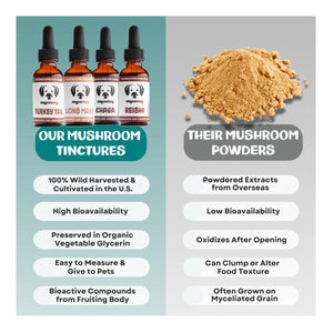 MycoDog Turkey Tail Mushroom Tincture 2oz