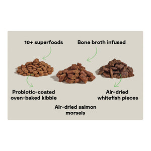 Open Farm Epic Blend Salmon & Superfood Dry Dog Food