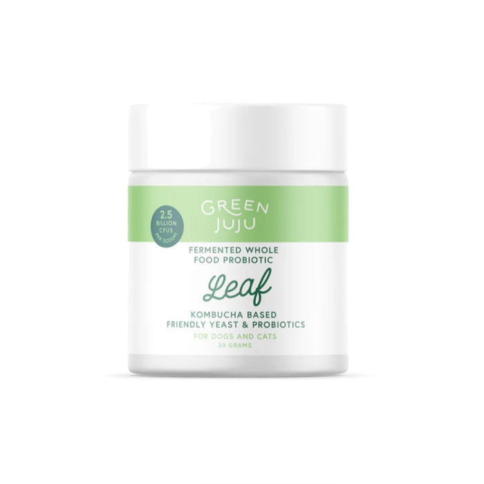 Green Juju Leaf Fermented Kombucha-Based Probiotic 30mg