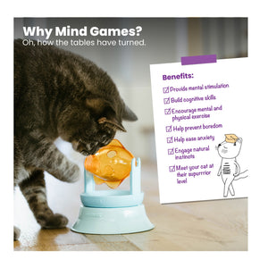 Outward Hound CatStages 2-in-1 Spinning Fish Interactive CatToy