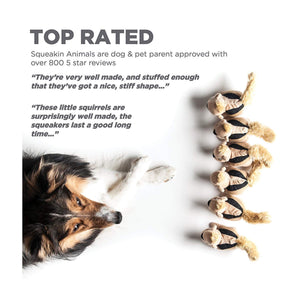 Outward Hound Hide-a-Toy Squirrel Replacement (3pk)