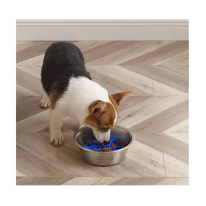 Outward Hound Fun Feeder Stainless Steel Slow Feeder Bowl