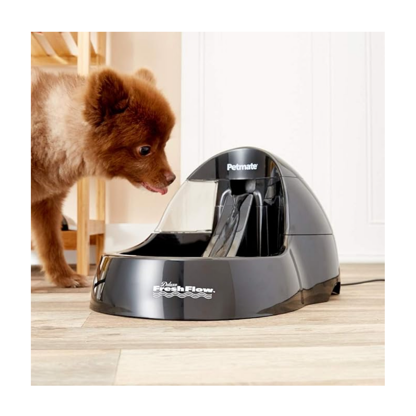 PetMate Deluxe Fresh Flow Water Fountain Black – Furly's Pet Supply