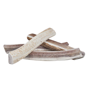 Primal Elk Antlers Split Large 8-9"