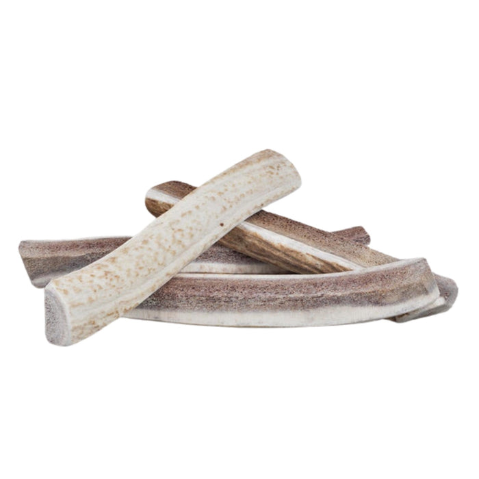 Primal Elk Antlers Split Large 8-9"