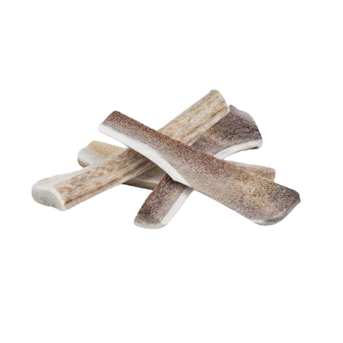 Primal Elk Antlers Split Medium 6-7"