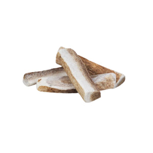 Primal Elk Antlers Split Small 4-5"