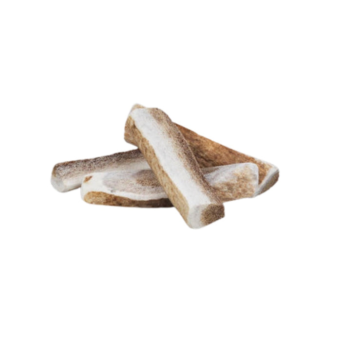 Primal Elk Antlers Split Small 4-5"