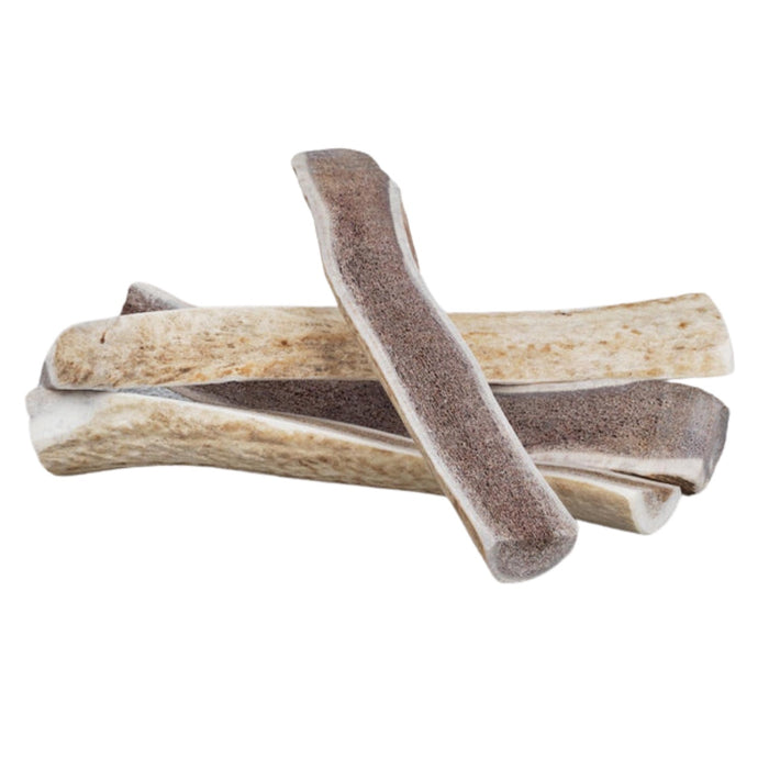 Primal Elk Antlers Split X-Large 10"+