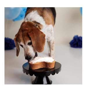 Puppy Cake Dog Birthday Cake Kit - Pumpkin