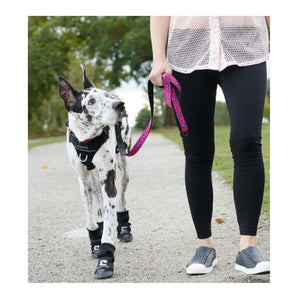 RC Pets Strider Boots