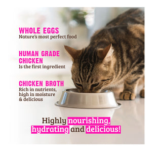 Rawz Shredded Chicken Breast & Egg Cat Food Pouch