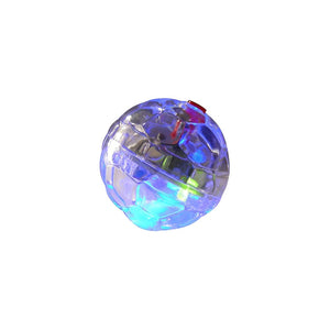 Spot Motion Activated LED Ball