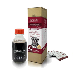 Totoniks Gut Health & Hydration Starter Pack for Big Dogs