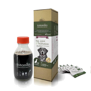 Totoniks Hip & Joint Starter Pack for Big Dogs