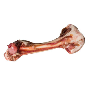 Tucker's Raw Frozen Lamb Femur Dog Bone