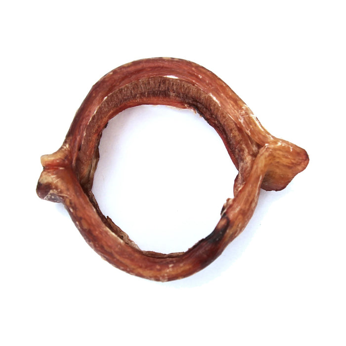 Tuesday's Bully Stick Ring Dog Chew