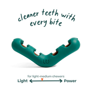 Woof Bite n' Brush Re-fillable Dental Chew