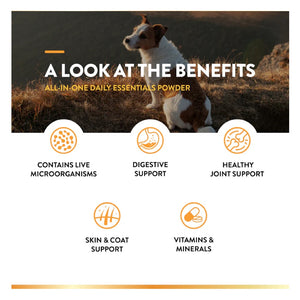 NaturVet All-In-One Daily Essentials Powder 13oz