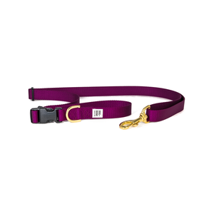 Dog+Bone Adjustable Leash 3-6ft, Hand Held/ Hands Free, Purple